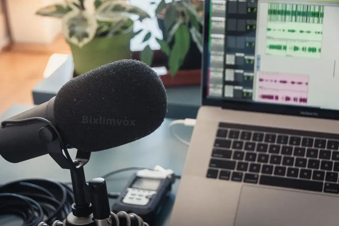 Bixlimvox 1